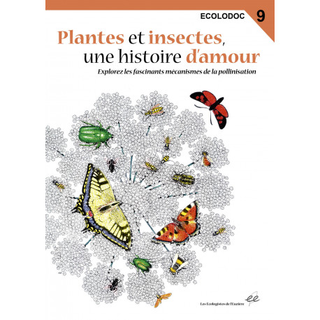 Plantes et insectes, une histoire d'amour