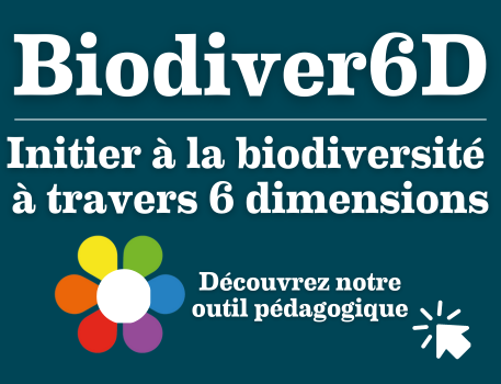 Biodiver6d, initier à la biodiversité à travers 6 dimensions